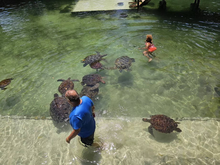 Nungwi, Acquario di Mnarani
