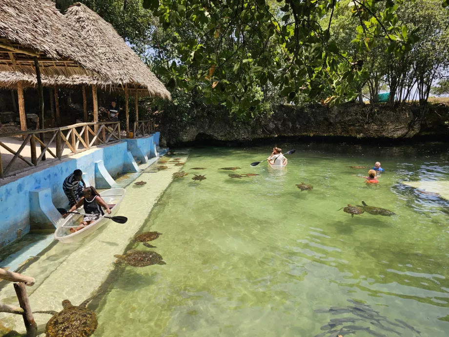 Nungwi, Acquario di Mnarani