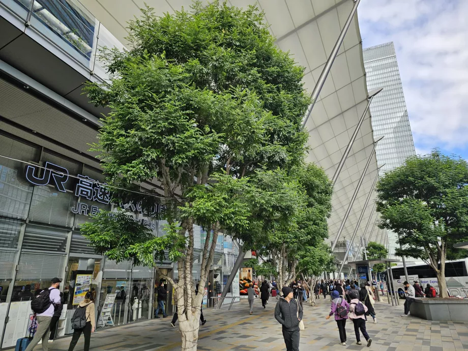 Stazione centrale degli autobus di Tokyo