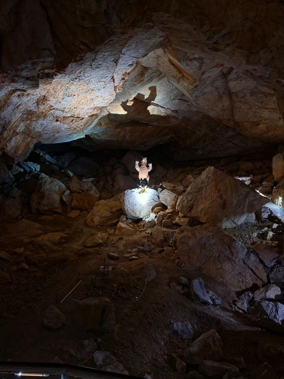 Modello di un orso delle caverne