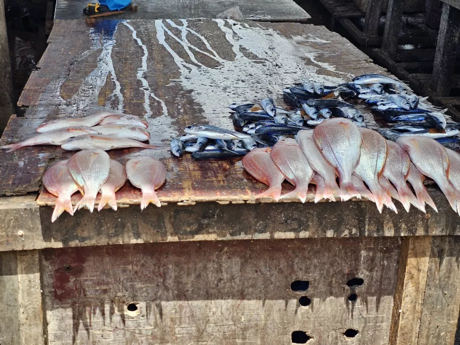 Mercato del pesce del traghetto