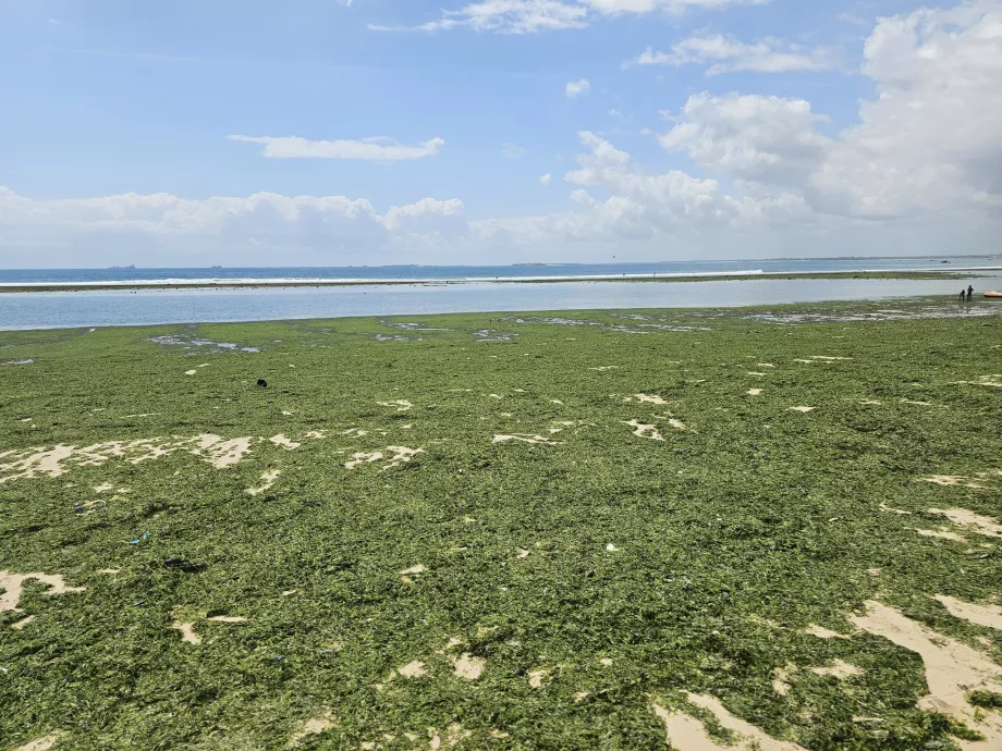 Spiaggia di Coco