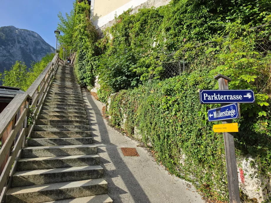 Scale: l'inizio del sentiero che sale sul Salzberg