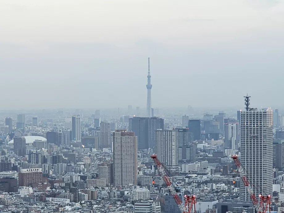 Palazzo del Governo Metropolitano di Tokyo