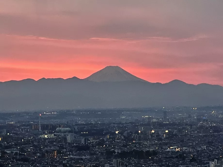 Il Monte Fuji dal Palazzo del Governo Metropolitano di Tokyo