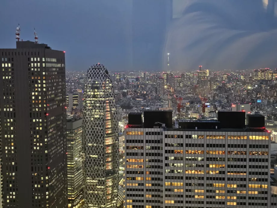 Palazzo del Governo Metropolitano di Tokyo