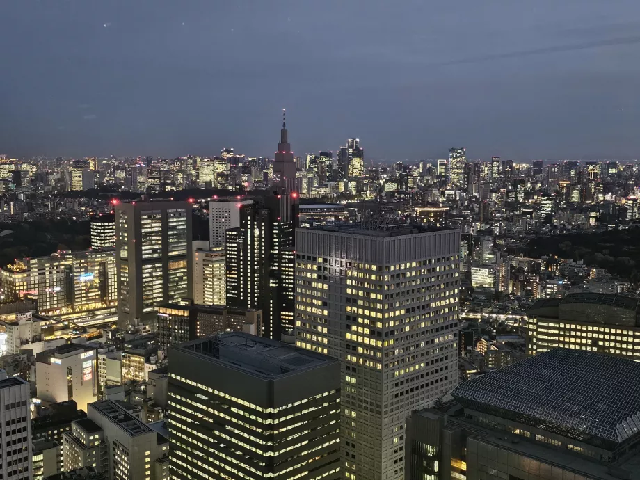 Palazzo del Governo Metropolitano di Tokyo