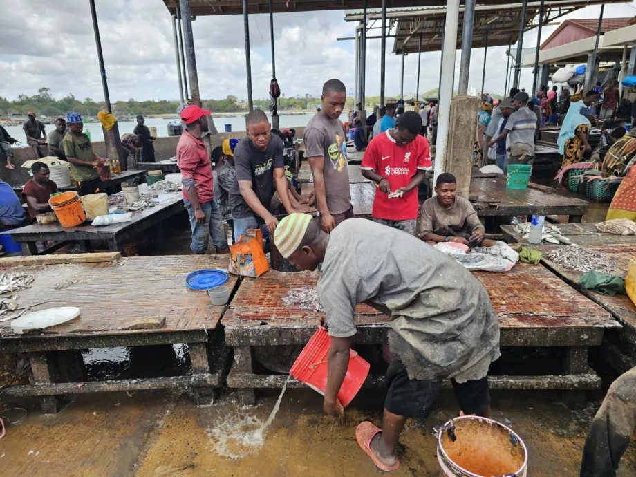Mercato del pesce del traghetto