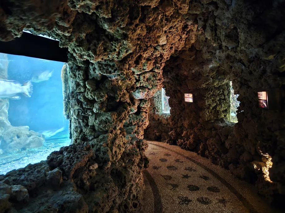 Acquario di Rodi