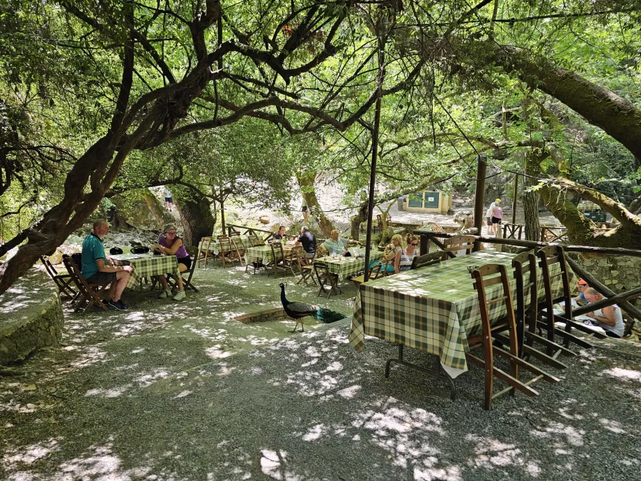 Ristorante delle Sette Sorgenti