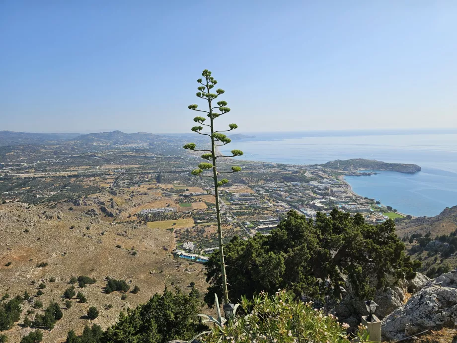 Vista dal Monastero di Nostra Signora sulla località di Kolymbia