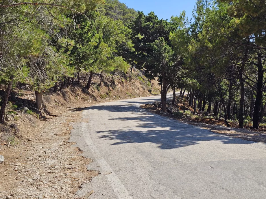 Strade laterali