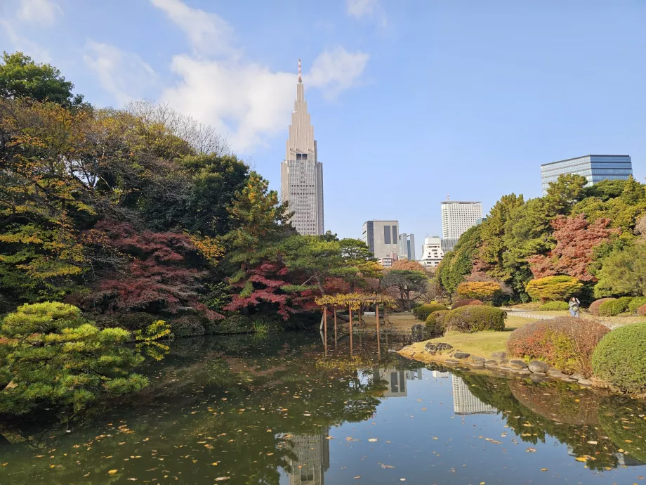 Giardino nazionale di Shinjuku Gyoen
