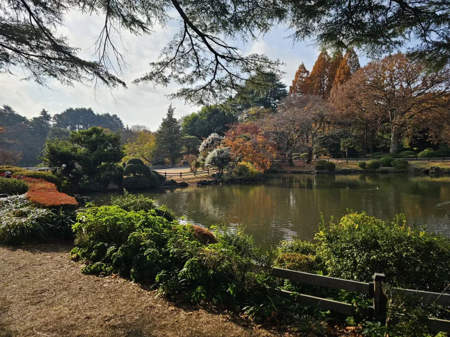 Giardino nazionale di Shinjuku Gyoen