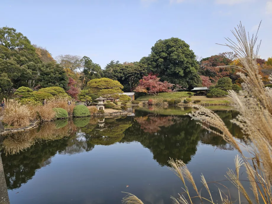 Giardino nazionale di Shinjuku Gyoen
