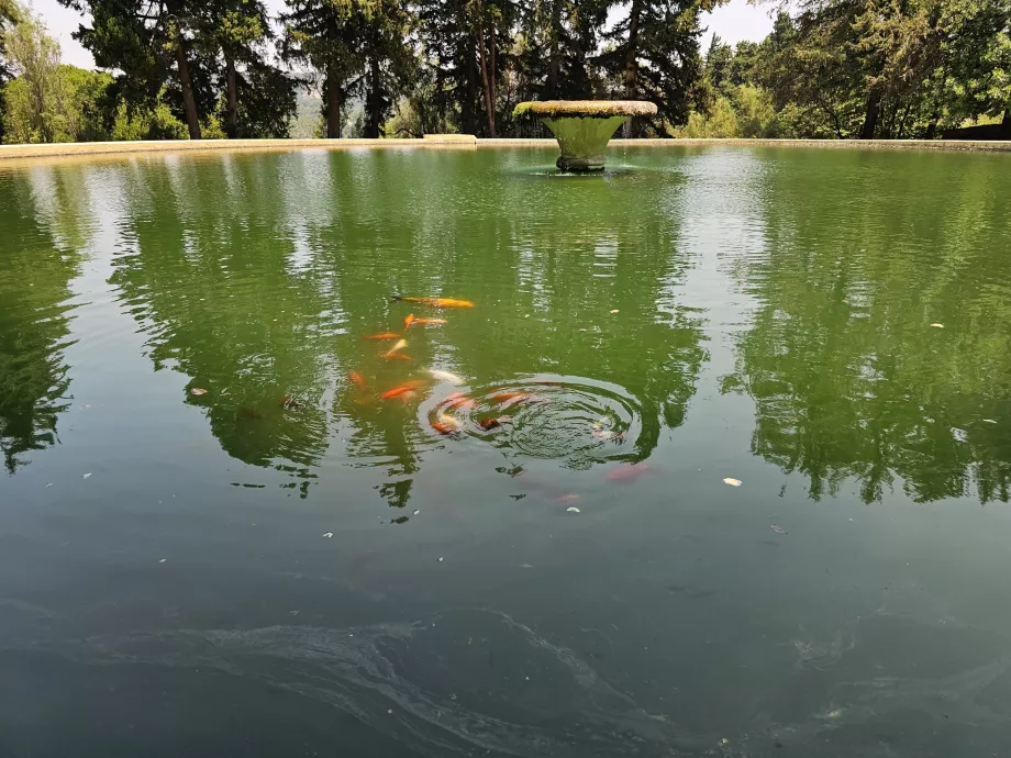 Fontana di Eleousa
