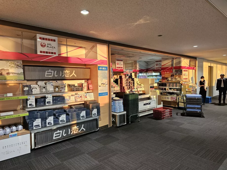 Minimarket JAL Plaza, zona di transito nazionale