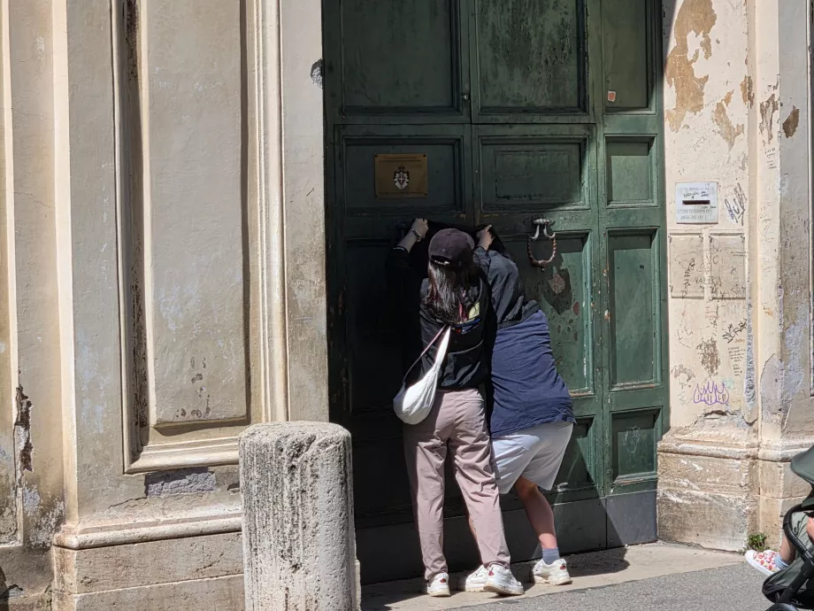 Coda di violino dell'Aventino