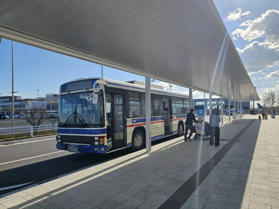 Bus navetta tra i terminal e il molo delle navi