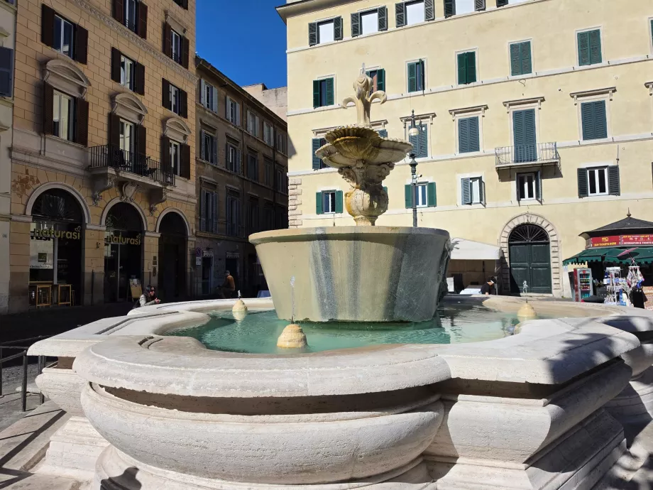 Campo de' Fiori, fontana