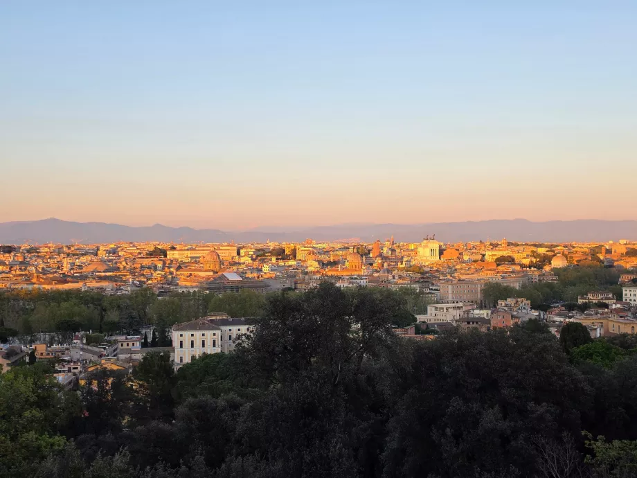 Giannicolo