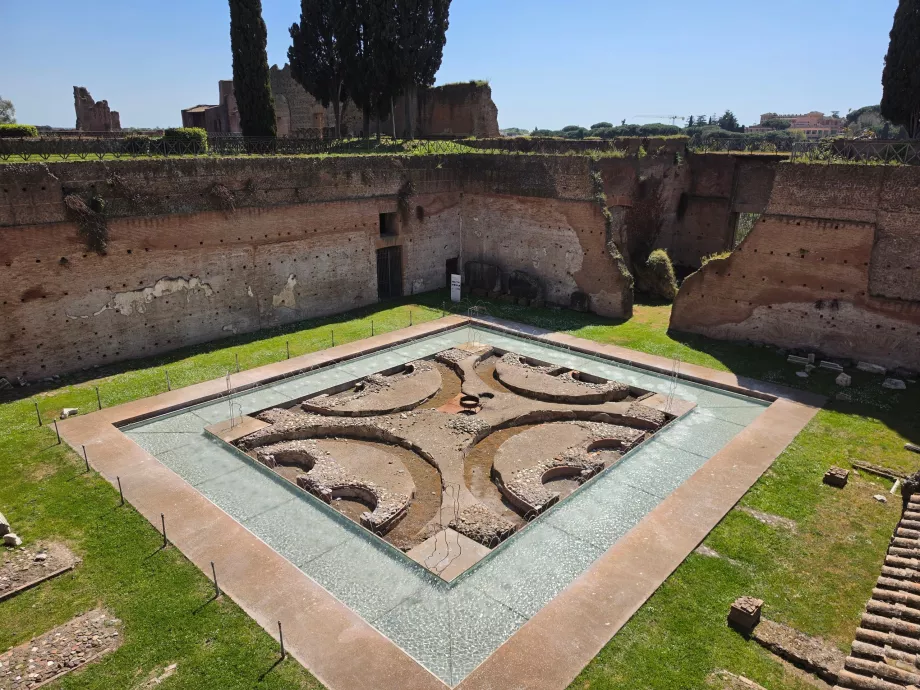 Palatino