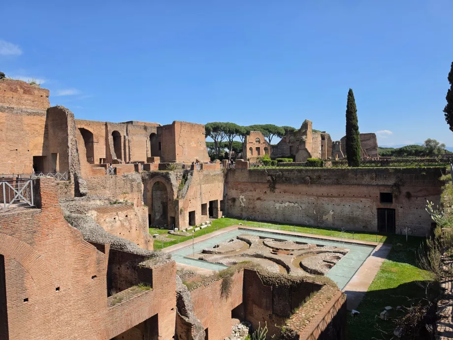 Palatino