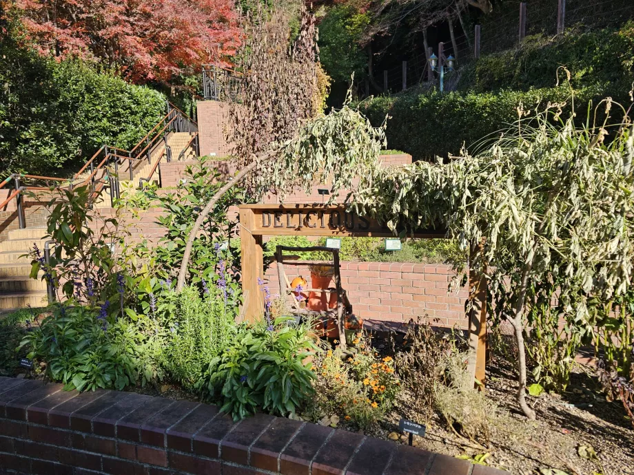 Giardini di erbe aromatiche Nunobiki