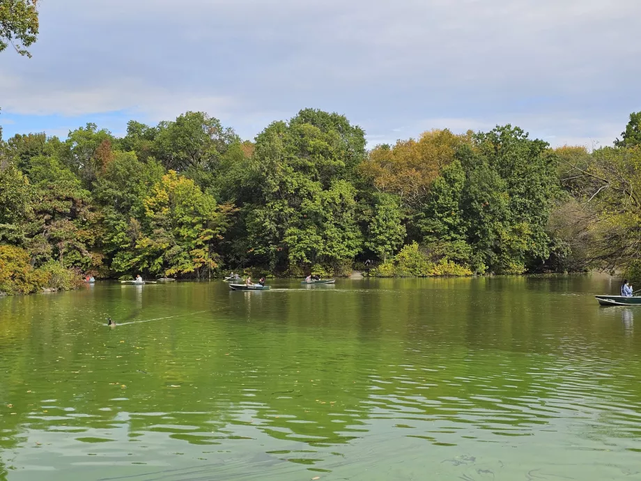 Il lago di Central Park