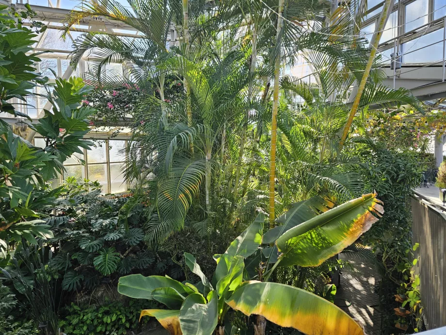 Serra del giardino delle erbe di Nunobiki