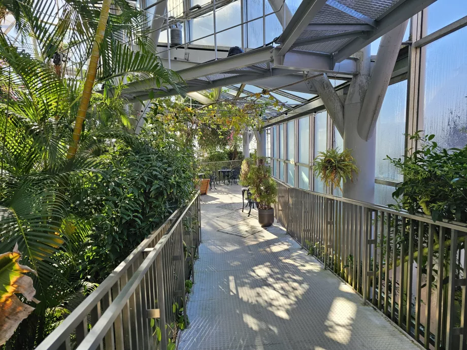 Serra del giardino delle erbe di Nunobiki