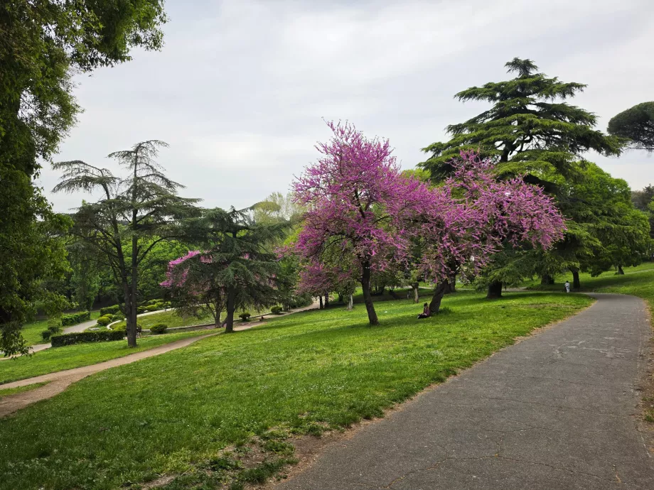 Parco Villa Borghese
