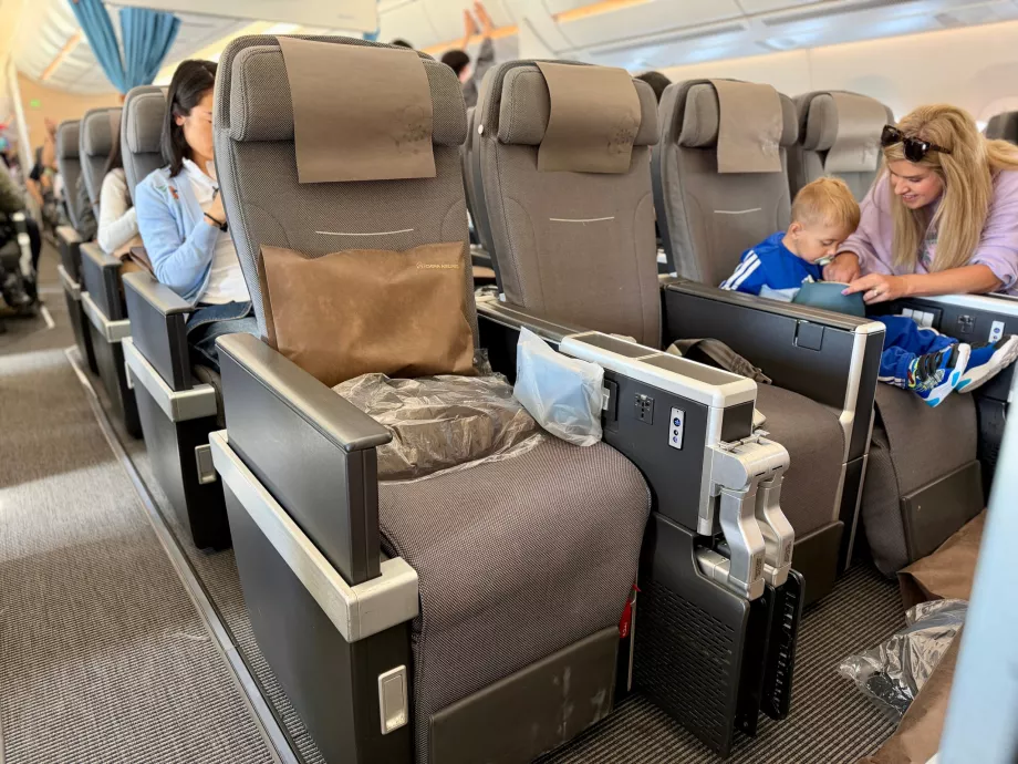 Posti a sedere in Premium Economy