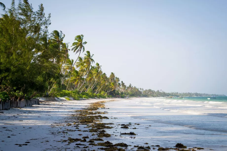 Spiaggia di Bwejuu