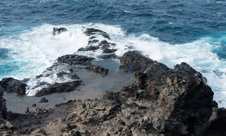 Piscine di olivo