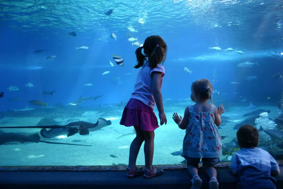 Centro oceanico di Maui