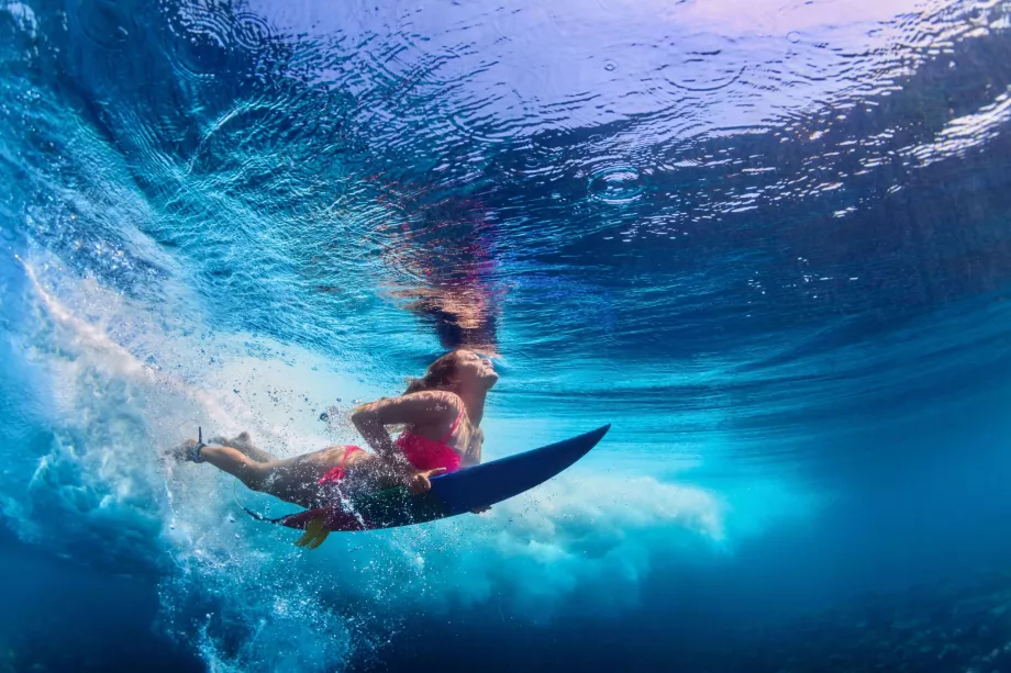 Surf a Maui