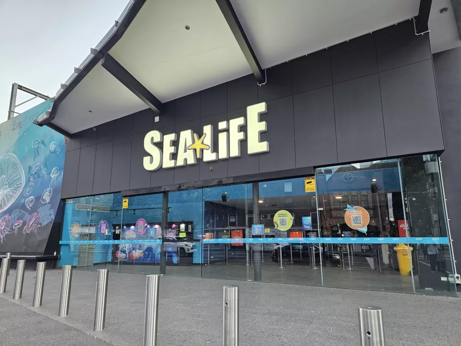 SeaLife