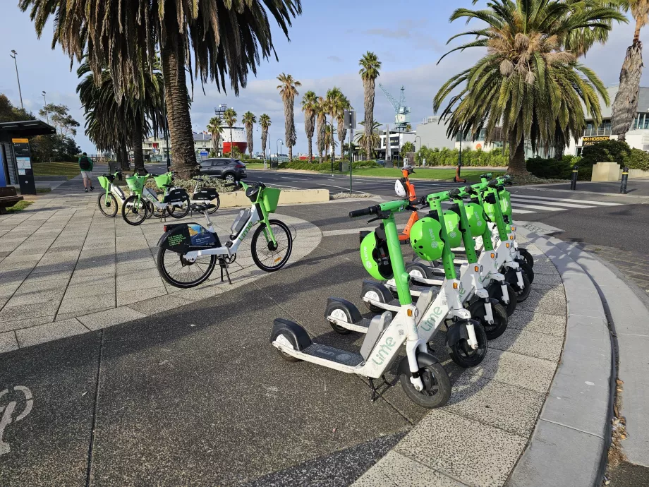 Scooter Lime