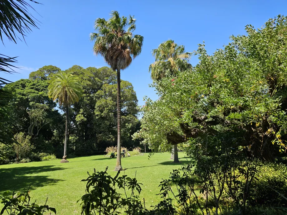Giardino Botanico Reale