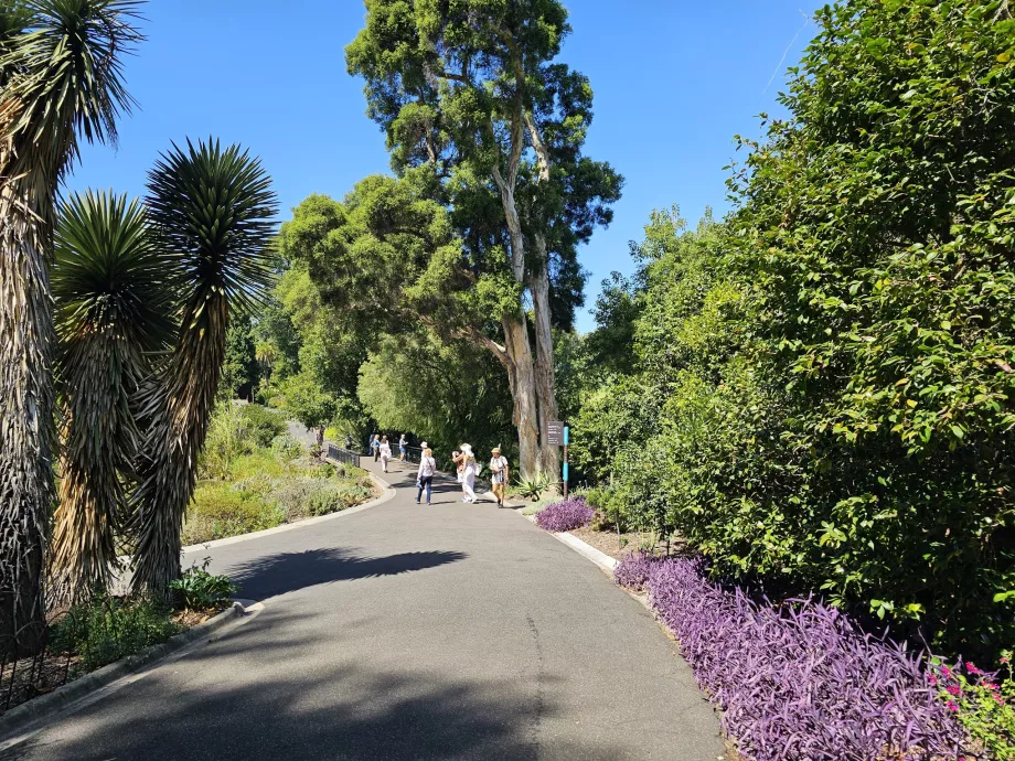 Giardino Botanico Reale
