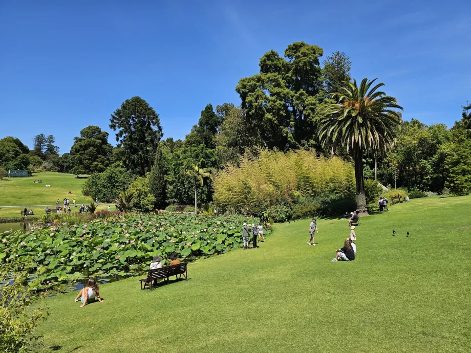 Giardino Botanico Reale