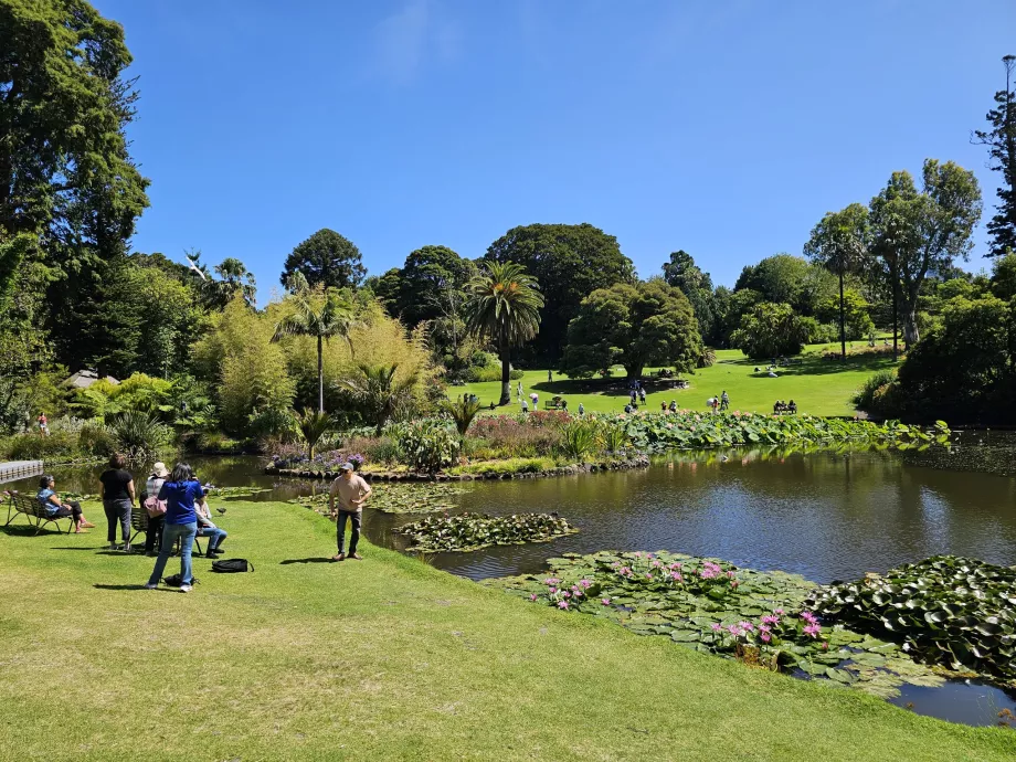 Giardino Botanico Reale