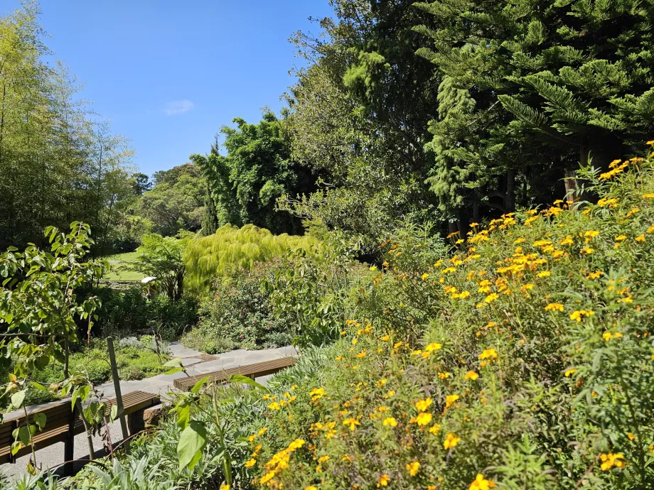 Giardino Botanico Reale