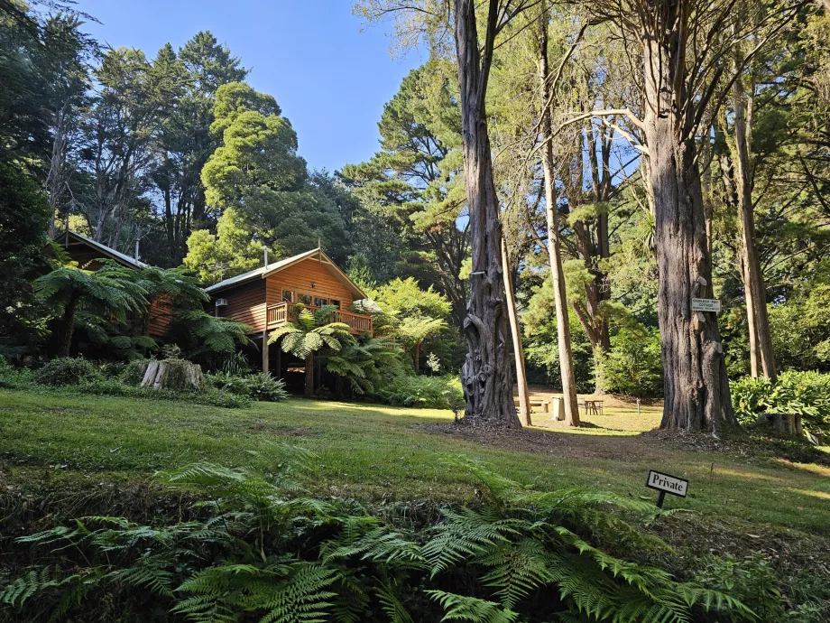 I Dandenong Ranges