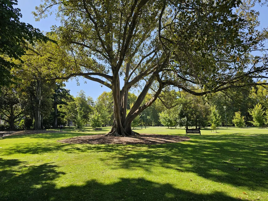 Giardini Fitzroy