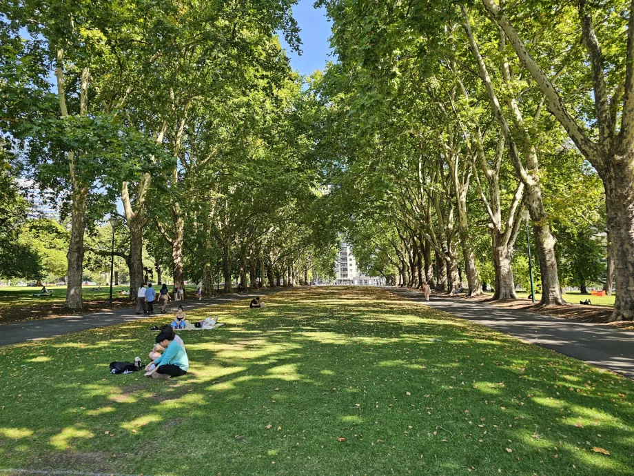 Giardini Carlton