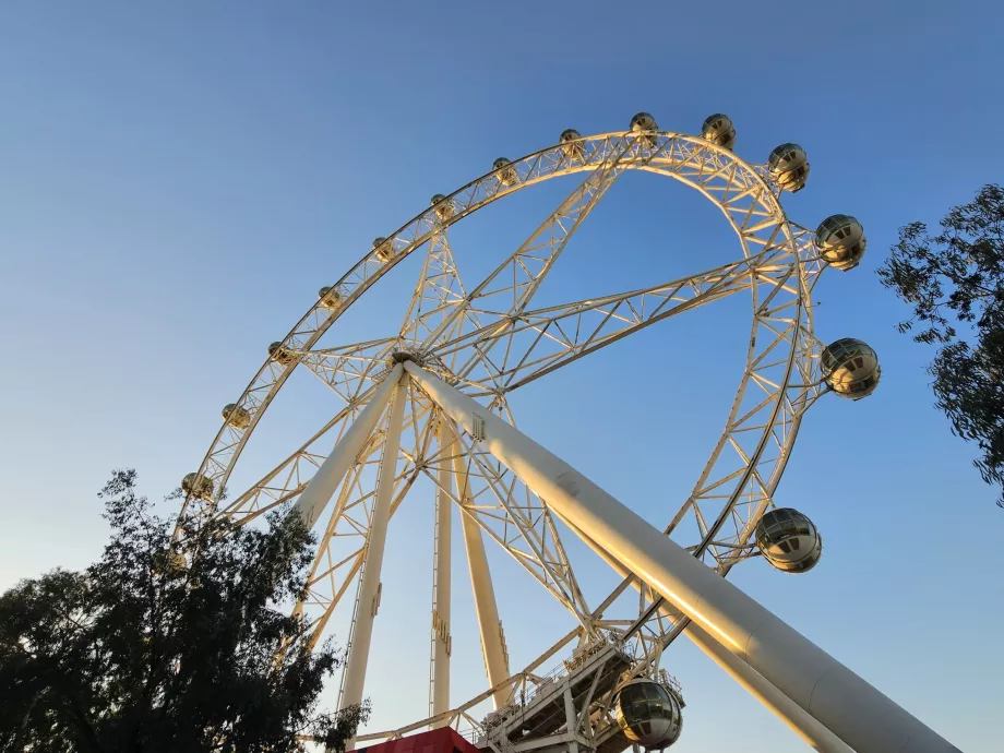 Ruota di osservazione