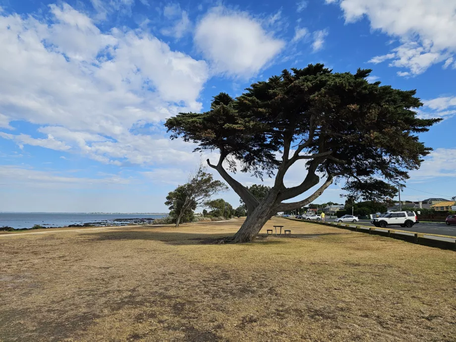 Parco Williamstown
