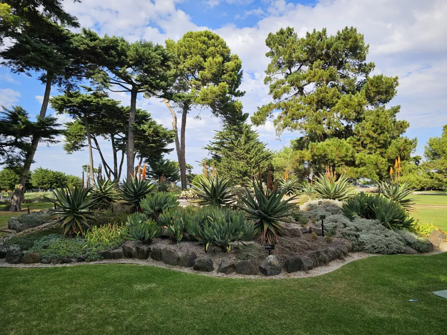 Giardini botanici di Williamstown